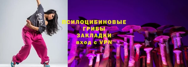 соль ск Нефтегорск