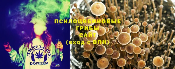 ALPHA-PVP Нефтекумск