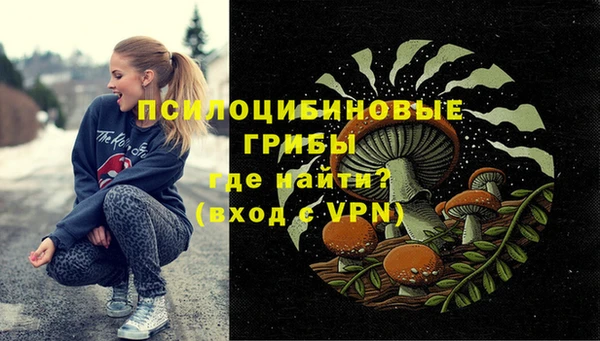 соль ск Нефтегорск